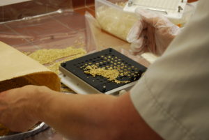 Preparing millet containing fungi